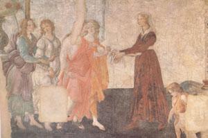 Sandro Botticelli A Young Woman Receives Gifts from Venus and the Three Graces (mk05) Germany oil painting art